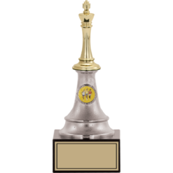 24 cm