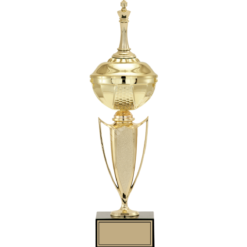 43 cm