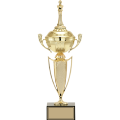 43 cm