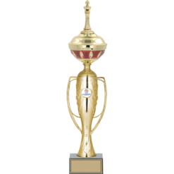 51 cm