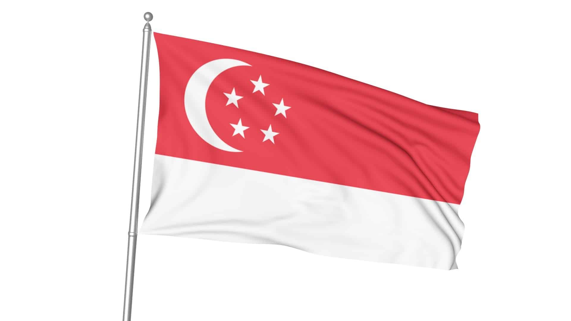 Singapur Bayrağı