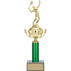 43 cm