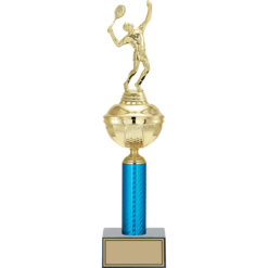 43 cm