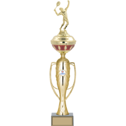 55 cm