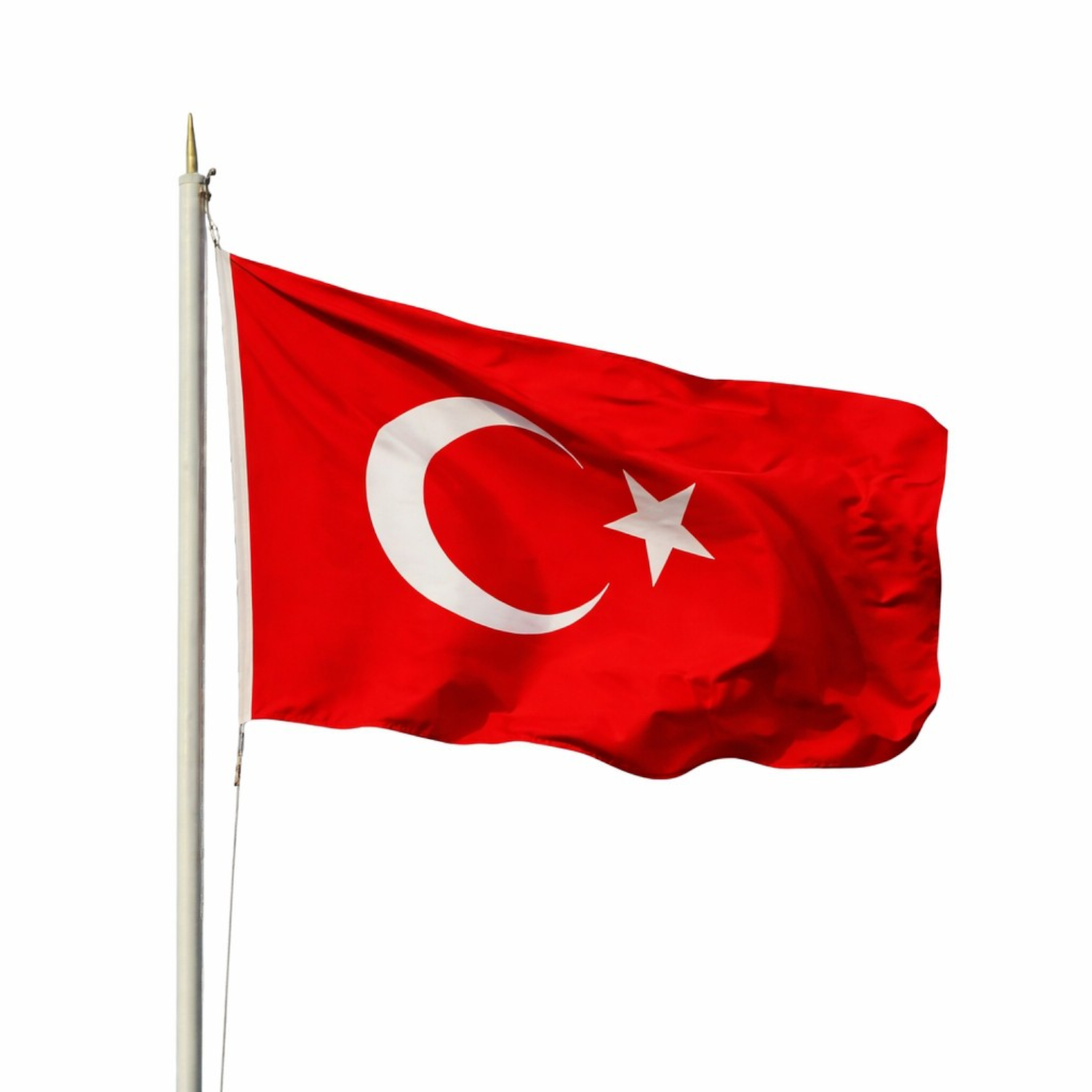 Türk Bayrağı Raşel 8×12 m 1 Türk Bayrağı Alpaka 10×15 m.