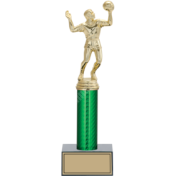 26 cm