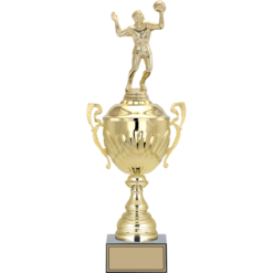 Voleybol Erkek