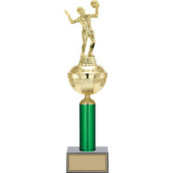 43 cm