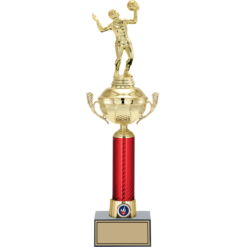 46 cm