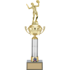 46 cm