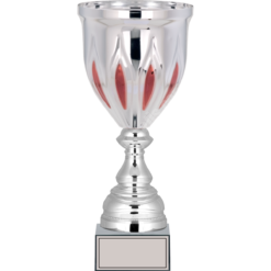 29 cm