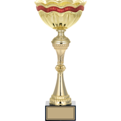 31 cm
