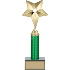 31 cm