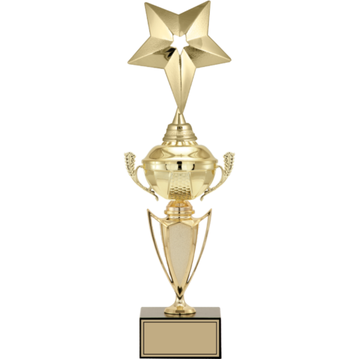 Yıldız Solo Figürlü Kupalar 42 cm | FG-068
