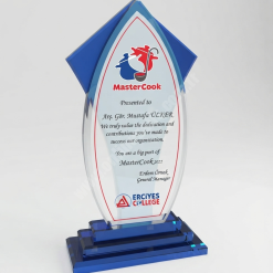 Online Satış -1 11 Organizasyon Katılım Teşekkür Katkı Kristal Plaket